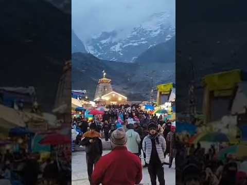 #kedarnathsanctury#kedar #kedarnath#ytshorts#travel#mountains#hindupilgrimage #travel