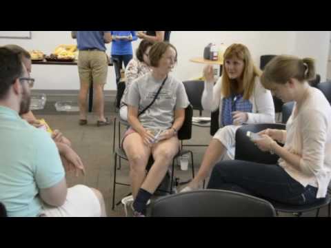 Summer Research Experience 2016