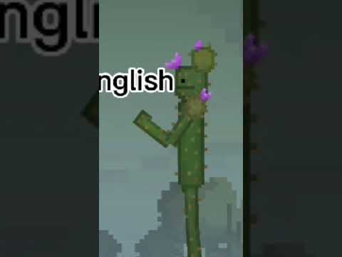english or spanish? #englishorspanish #melonplaygrond #short #meme