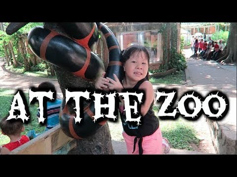 Going  to the Zoo - Day 22 - June 24, 2015