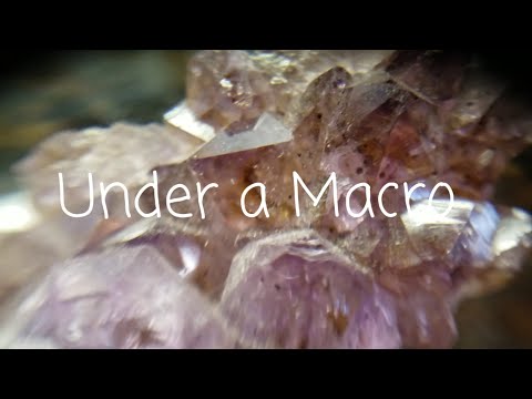 Under a Macro Lens