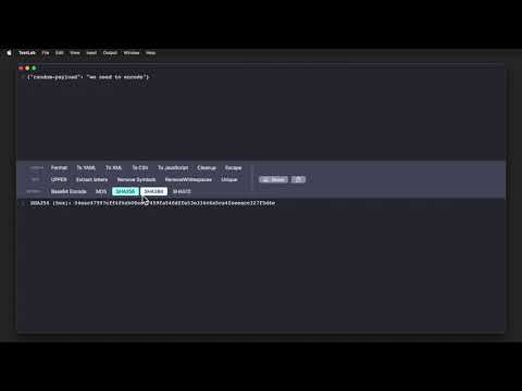 TextLab 2 - Working with Base64, SHA, MD5