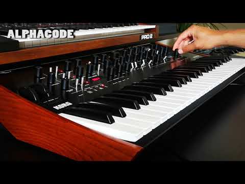 Korg Prologue Demo  I  No Talking + Custom Patches
