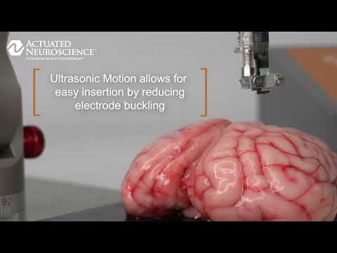 NeuralGlider Neuropixel 1.0 Insertion