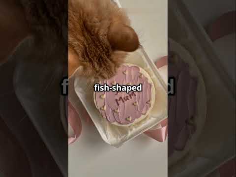 Cat weeding celebration pt.2 🐈🥰 #cat #catweddingvideos #cute