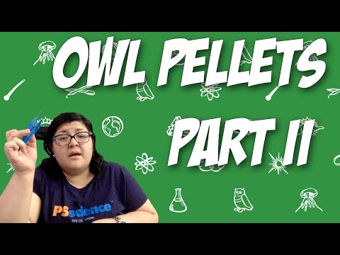 Owl Pellets Part 2