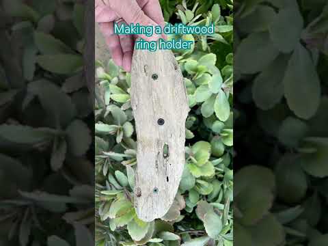 How to make  a driftwood ring holder #jewelrydisplay