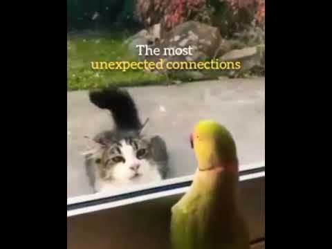 True Friendship 😃🔥🔥🔥 | Motivational status | #shorts