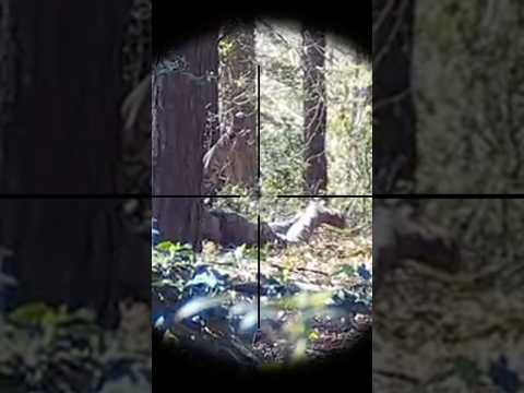 ClipCam Compilation Part 11 #airsoft #airsoftuk #airsoftclips #airsoftsniper