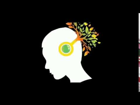 Pocket Matters Introduction - 01