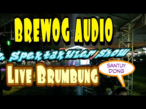 BREWOG AUDIO LIVE BRUMBUNG || di buka dengan REAGE