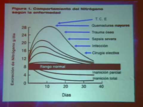 Nutritional Management During Neurocritical Care Illness.