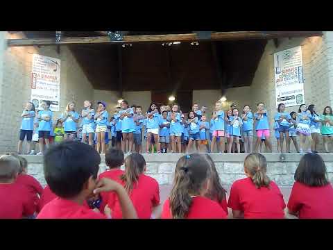 Camp Fun Zone Picnic Performance
