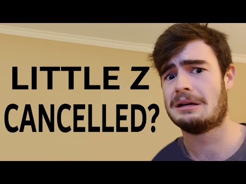 Discussing the Little Z Controversy - The Evilest YouTuber