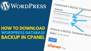 How to Download a Backup Copy of Your WordPress Database Using cPanel