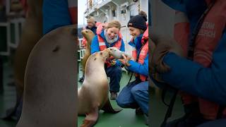 Ocean rescue #oceanview #mysteriousocean #animals #oceanmagic