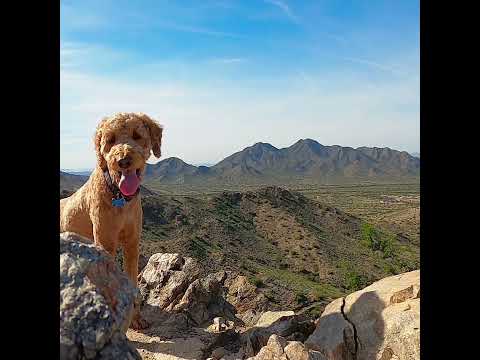 Top 10 Mountain View in AZ      #arizona #mountains #views