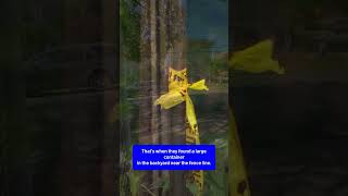 Human remains found outside abandoned building in New Britain