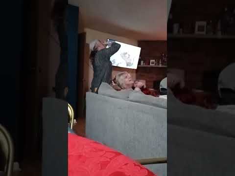 Join the Oreo Fun Challenge!