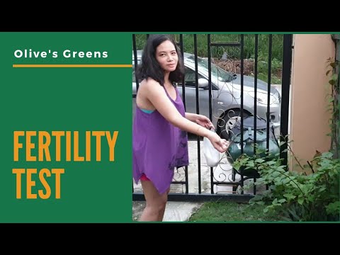 Olive's Greens | Fertility Test for our Side & Front Yards