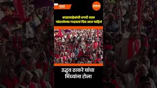 बाळासाहेबांची भगवी शाल पांघरलेल्या गाढवाचं चित्र आज पाहिलं, उद्धव ठाकरे यांचा मिंध्यांना टोला