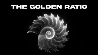 The Hidden Code of Life