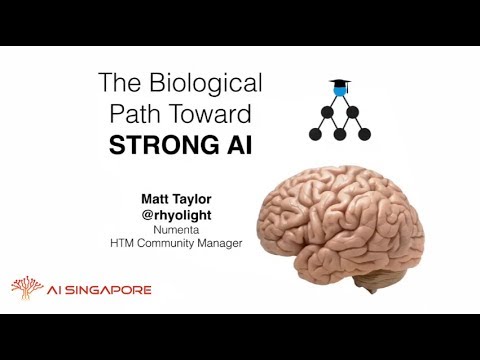The Biological Path Towards Strong AI by Matt Taylor from Numenta (AI Singapore Meetup)