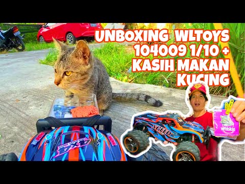 Unboxing #RC #car #vlog adventure ride (Wltoys 104009) + Test Drive and Feeding Cats (Mobil Mainan)