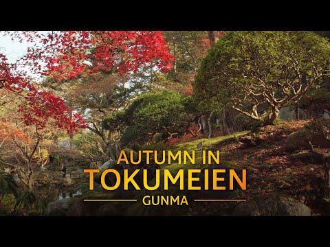 Autumn in Tokumeien Japanese Garden, Gunma, Japan 秋の徳明園 日本庭園 紅葉 群馬県 Sony a7III + Sirui Anamorphic 24