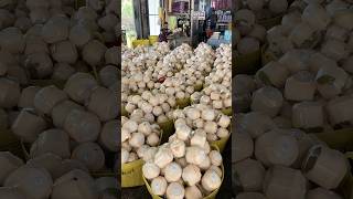 Best Coconut Packaging Process for Global Export - Fruit Cutting Skills
