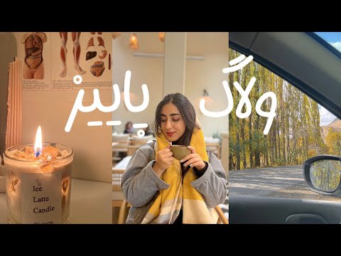 ولاگ دانشجویی🍁: روماتولوژی و فرار به طبیعت؛ پاییز جاده چالوس و تهران