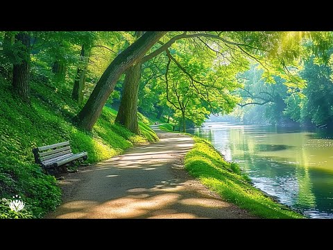 Music helps stop overthinking 🌿 nature sounds help reduce stress from within, stabilize emotions