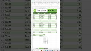 How to Use the SUBTOTAL Function