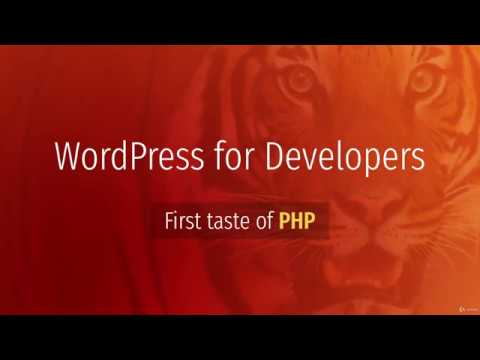 3. First Taste of PHP Wordpress