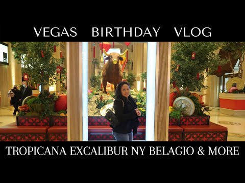 VEGAS BIRTHDAY VLOG | TROPICANA EXCALIBUR NYNY BELAGIO HOTELS & FOOD | CJ in SoCal VLOGs
