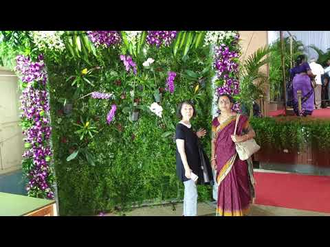 Orchid Show -Bengaluru 2019