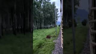 Train #nature #trainvibes #train #travel #song #mountains #safar #vibes #mountainview