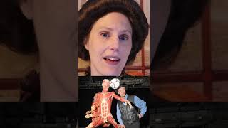 Plastination Expos Explained: Body Worlds, Ethics and Human Rights #exhibition #tour #medical