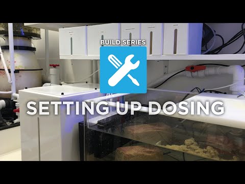 Ep. 15 | Build Series: Setting Up Dosing