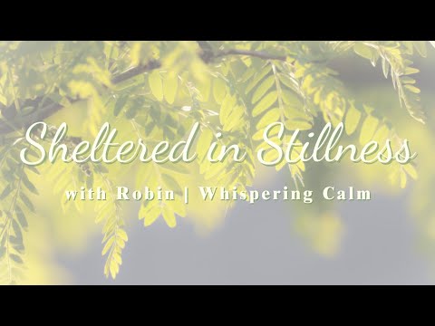 Beneath the Canopy | Soft Piano for Summer Stillness and Quiet Renewal | 1 Hour of Ambient Music