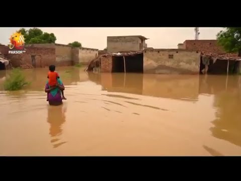 Pakistan Flood 