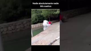 #español #humor #memes #xd #latinomemes #reels #memesespañol #humor #fyp #funny #gracioso