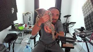 New Cat, New Appartment, New YouTube Direction + Special Forumula of Happiness