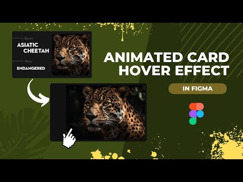 Animated card hover effect in figma For Beginners
