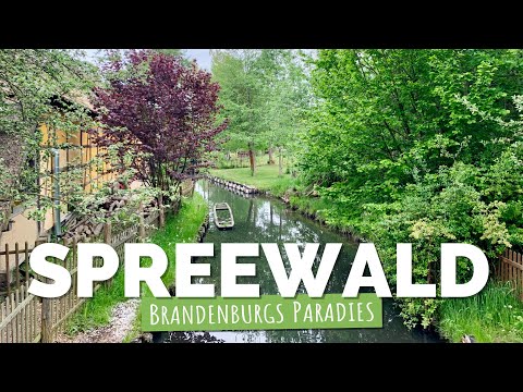 🚐 Spreewald entdecken: Naturparadies mit dem Kanu & Wohnmobil! 🌿🏕️