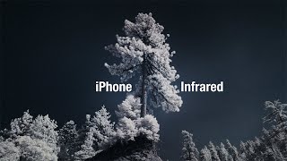 The Strangest Way To Film with Your iPhone Yet
