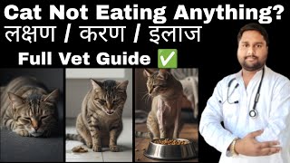 Cat Not Eating Food | Billi khana nahi kha rahi | Cat not eating anything | Causes & full treatment 