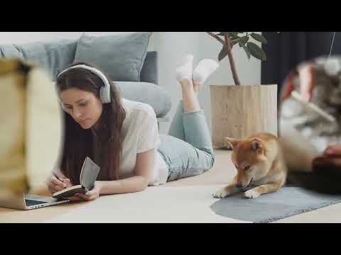 Getting Started on Wag! The Future of PurrWell Pet Care & Veterinary Services Template #pets #uibarn