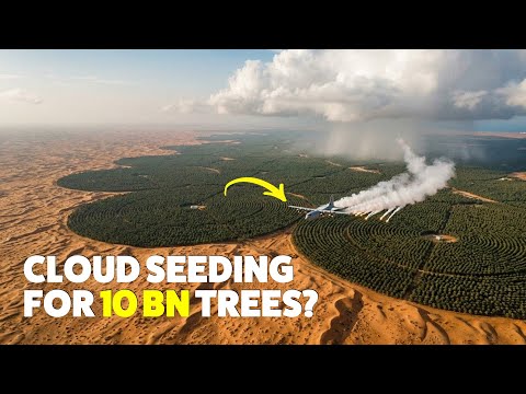 Is Saudi Arabia's Cloud Seeding Program Even Possible?