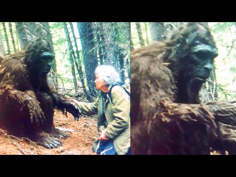 A Starving Bigfoot Came To This Woman For Help - Sasquatch Encounter Story